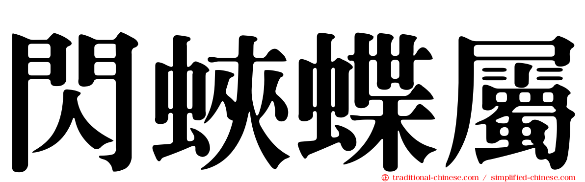 閃蛺蝶屬