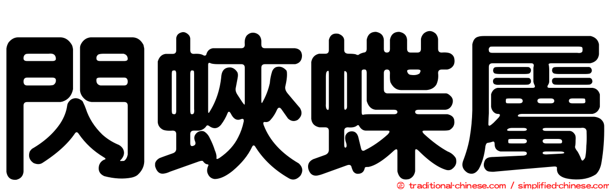閃蛺蝶屬
