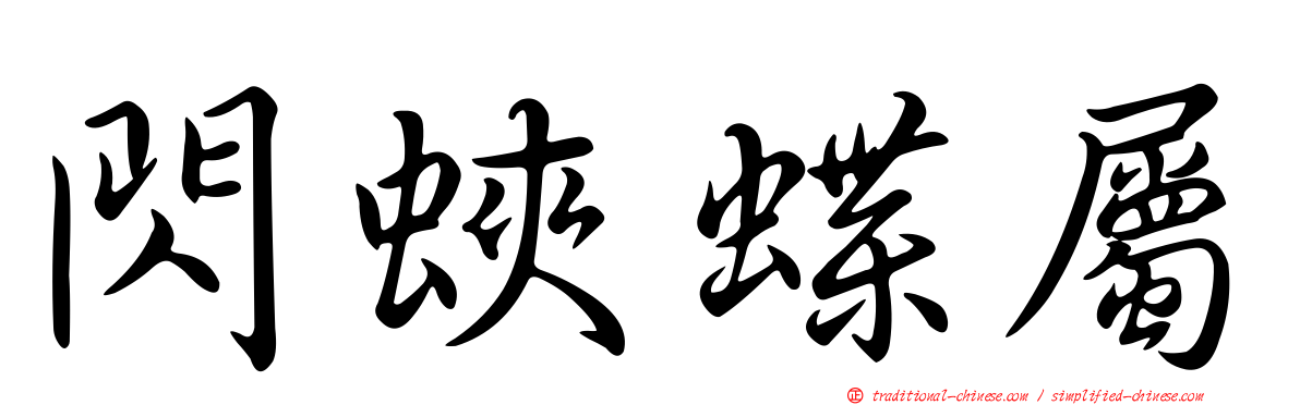 閃蛺蝶屬