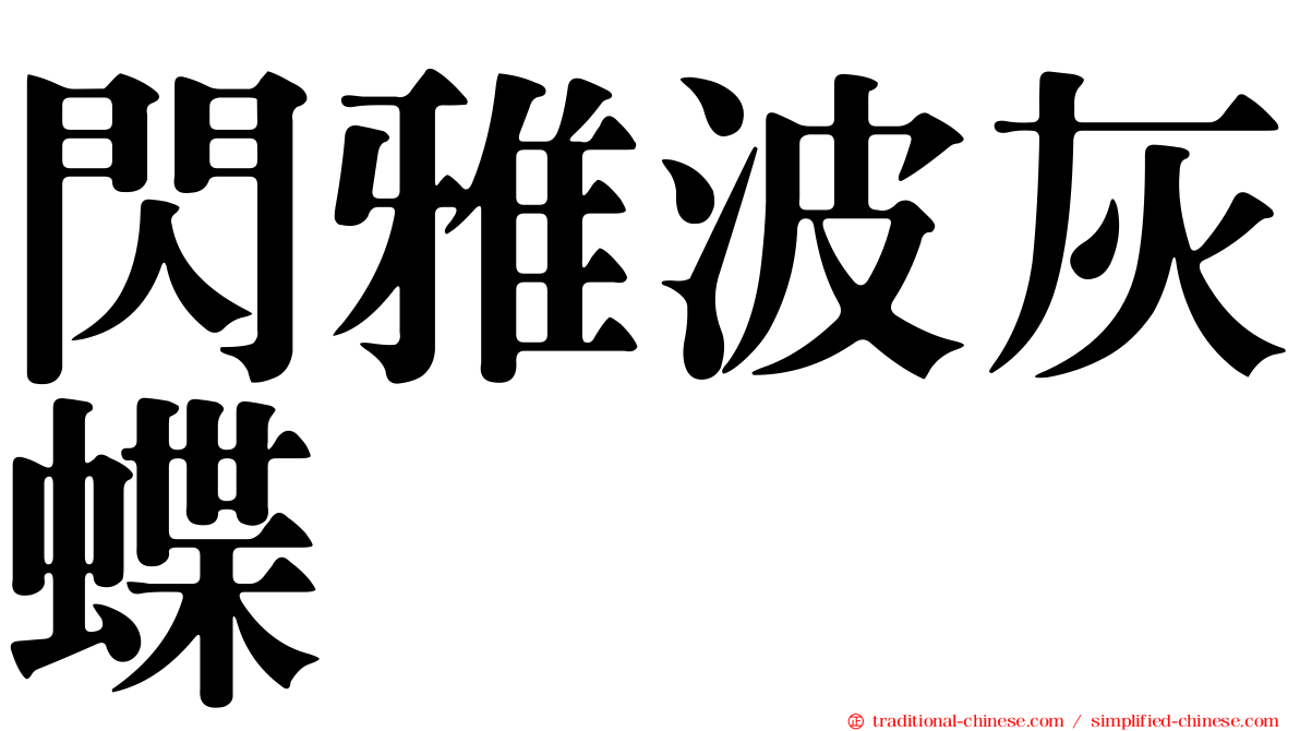 閃雅波灰蝶