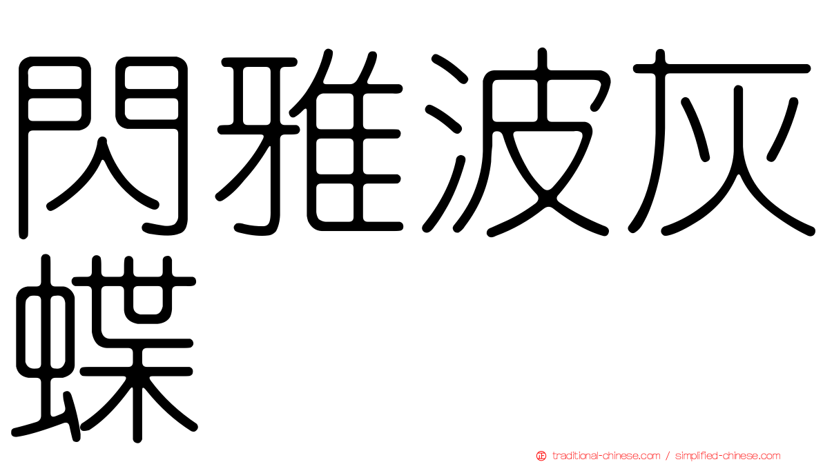 閃雅波灰蝶