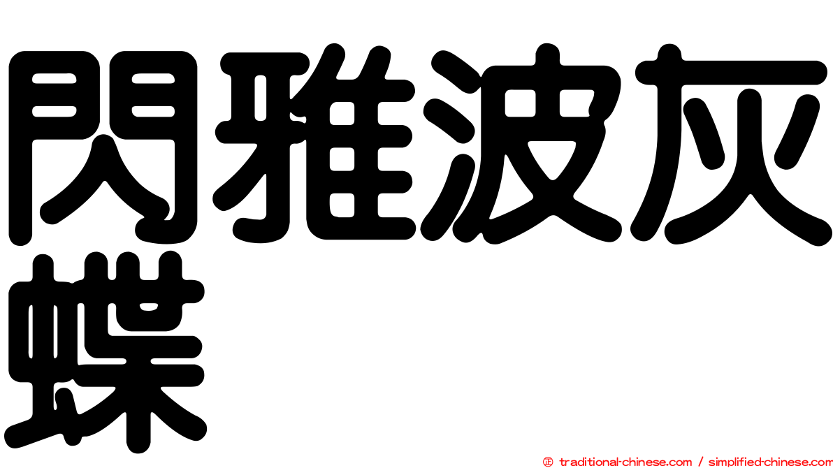 閃雅波灰蝶