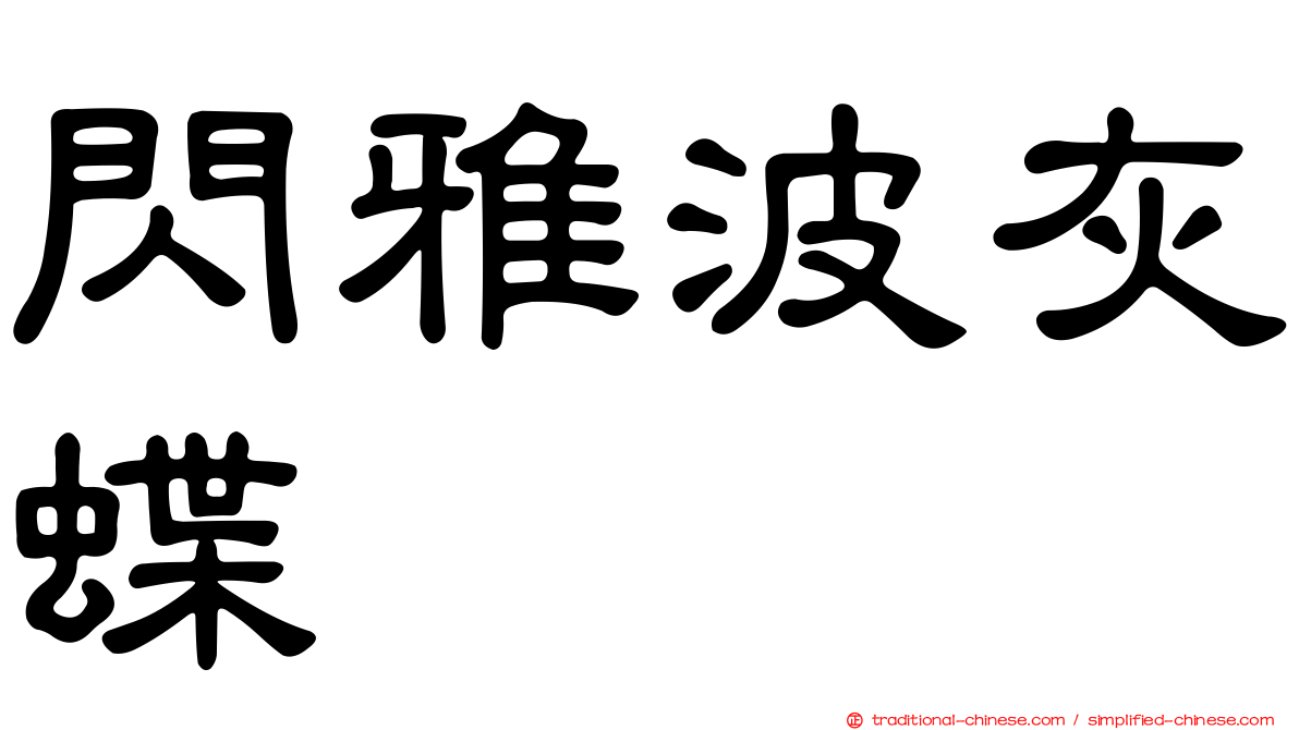 閃雅波灰蝶