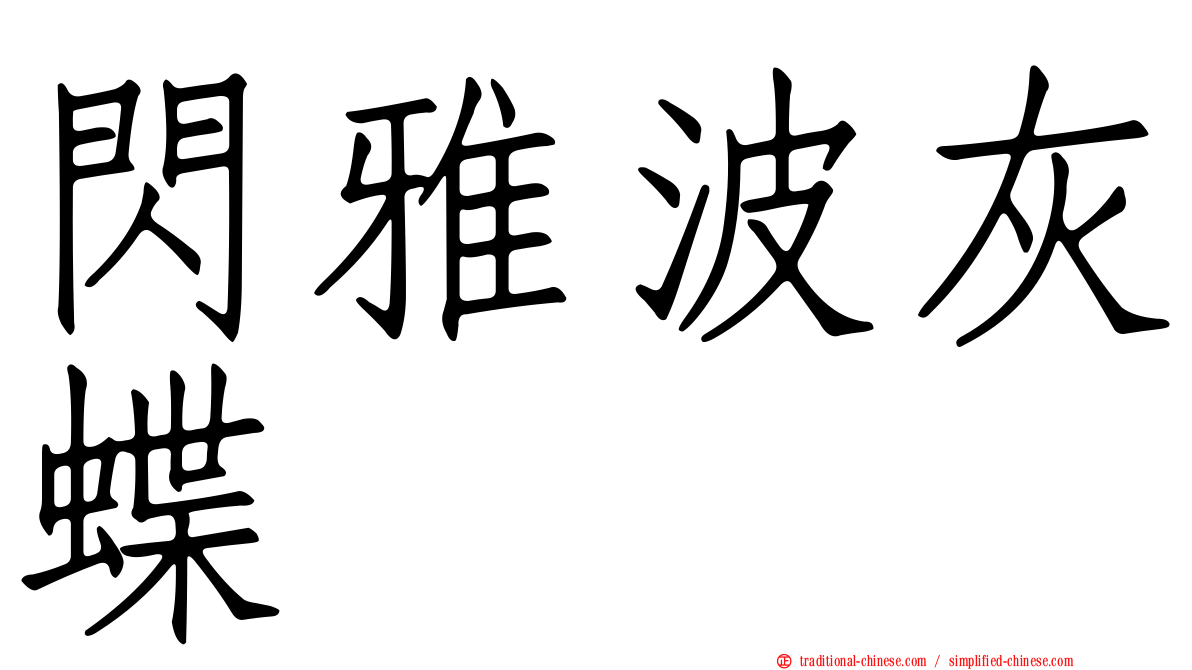 閃雅波灰蝶