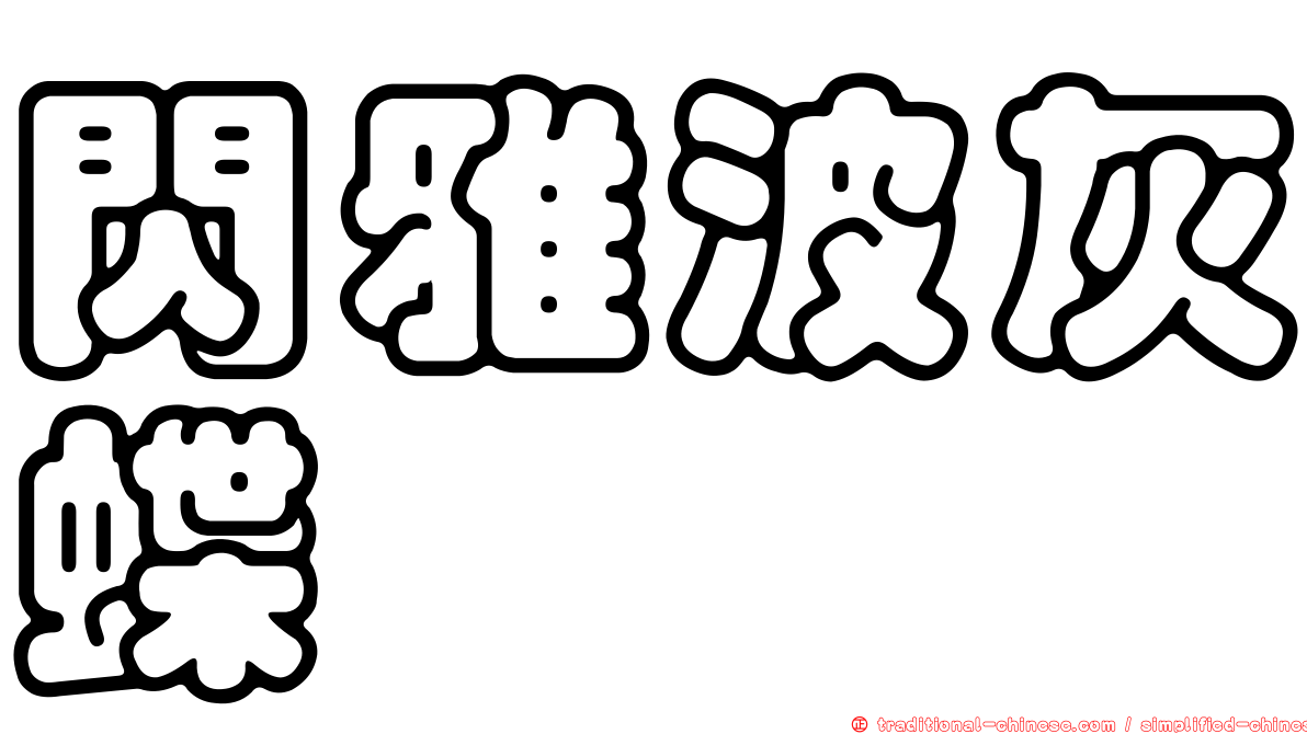 閃雅波灰蝶