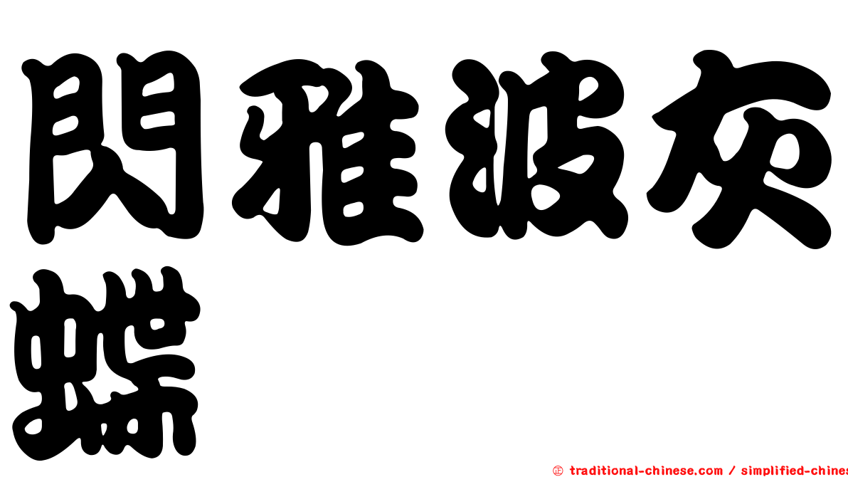 閃雅波灰蝶
