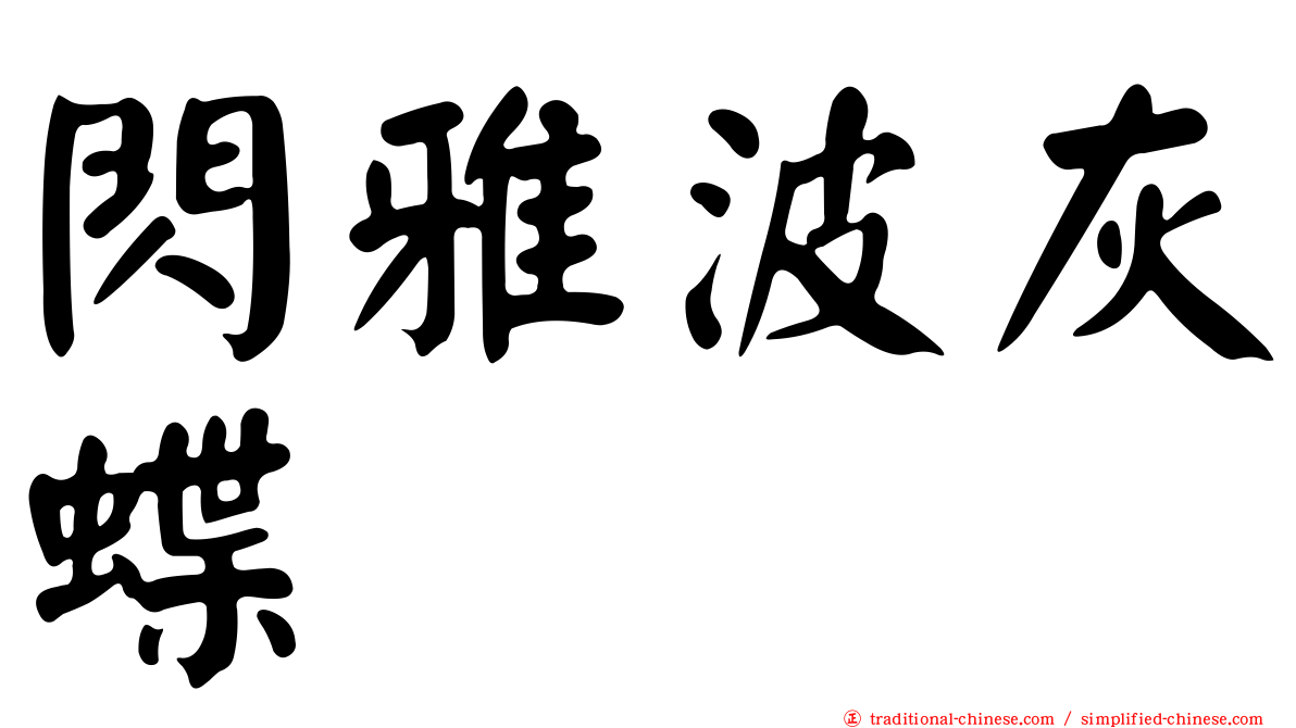 閃雅波灰蝶