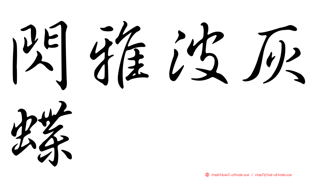 閃雅波灰蝶
