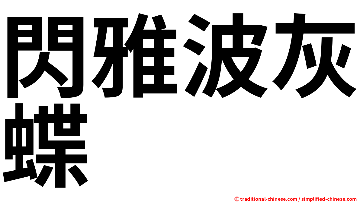 閃雅波灰蝶