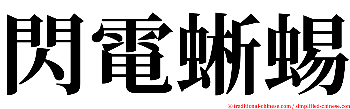 閃電蜥蜴 serif font