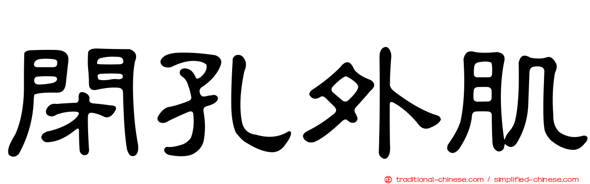 閉孔外肌