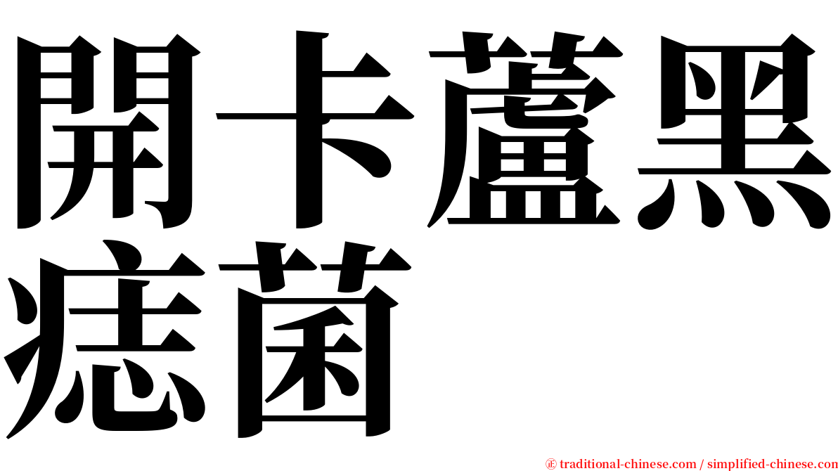 開卡蘆黑痣菌 serif font