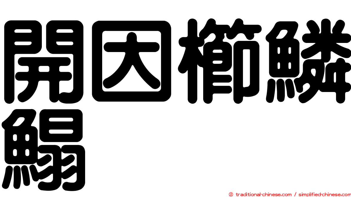 開因櫛鱗鰨