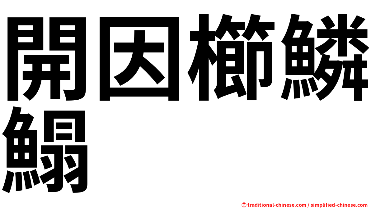 開因櫛鱗鰨