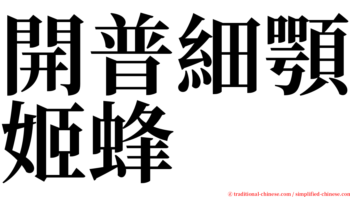 開普細顎姬蜂 serif font