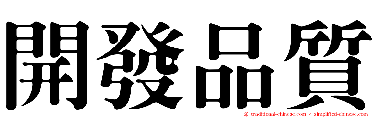 開發品質
