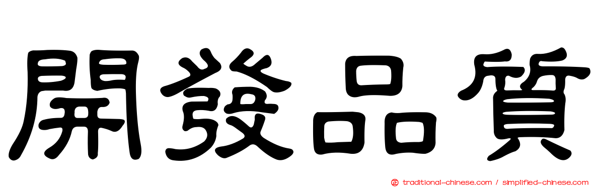 開發品質
