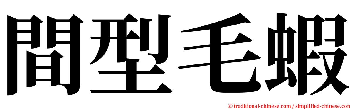 間型毛蝦 serif font
