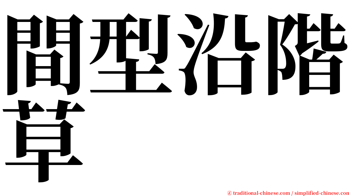 間型沿階草 serif font
