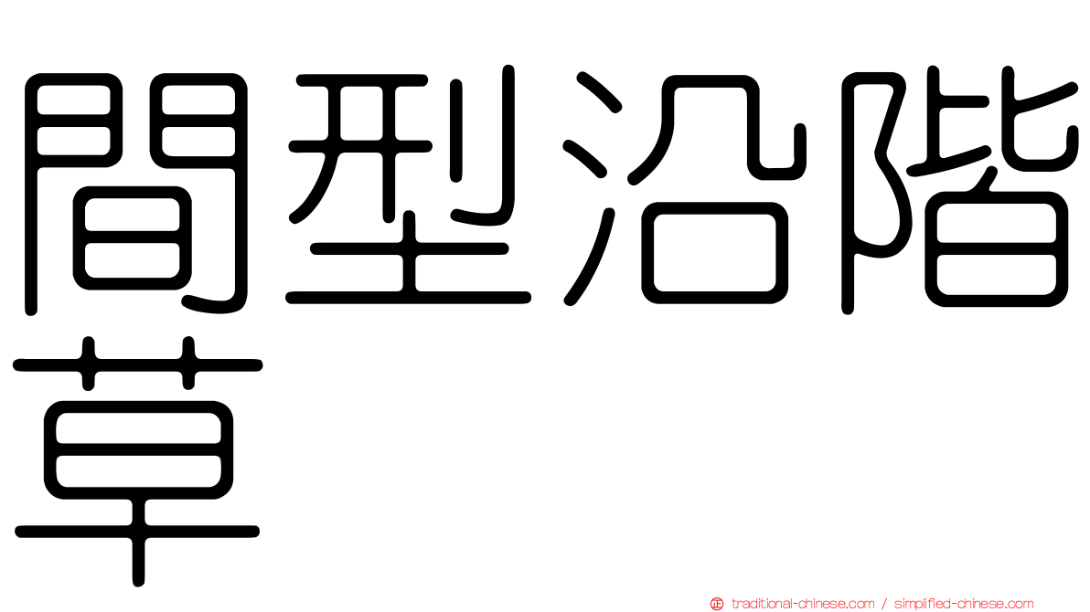 間型沿階草