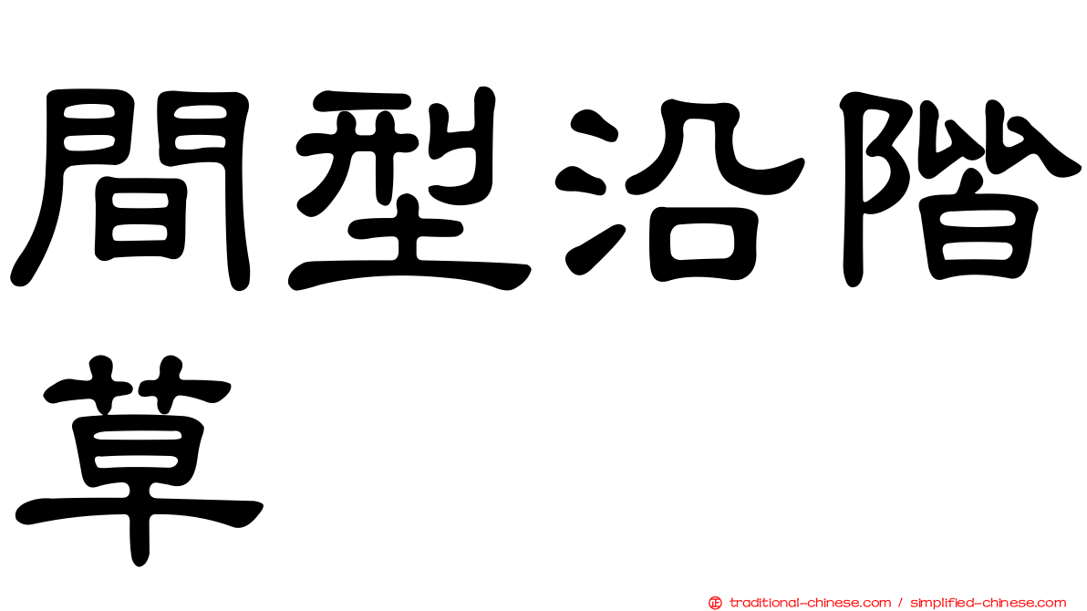 間型沿階草