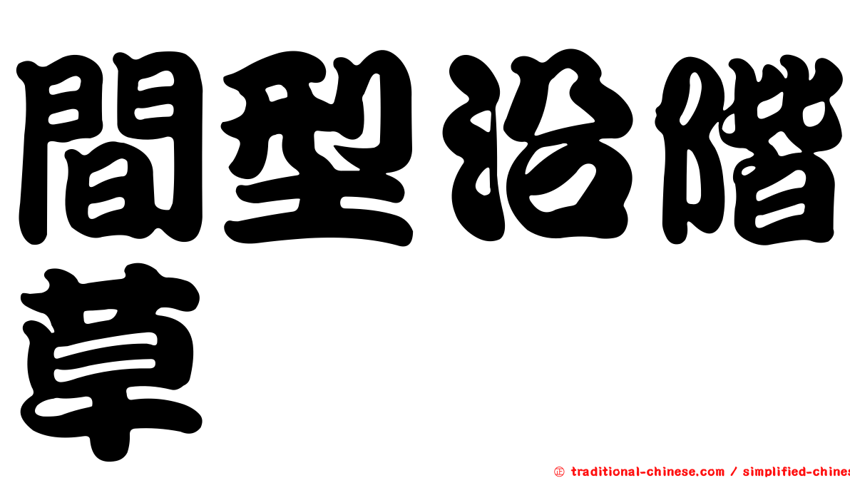間型沿階草