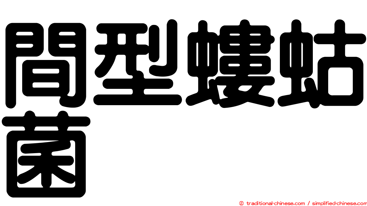 間型螻蛄菌