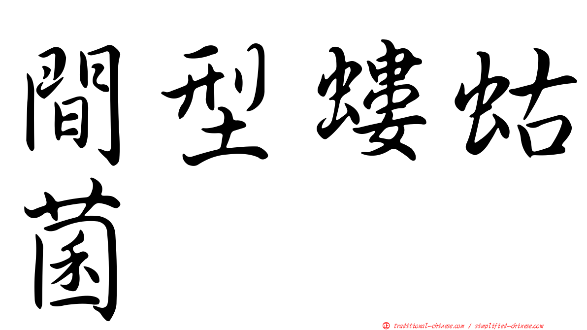 間型螻蛄菌