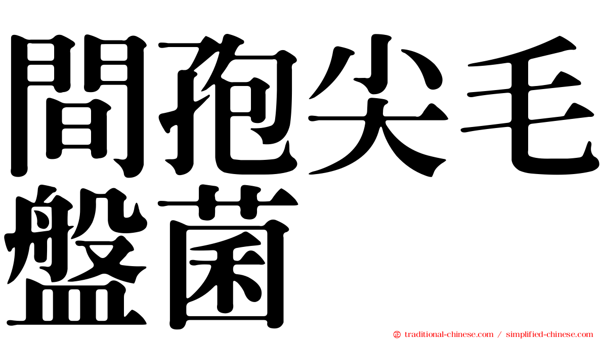 間孢尖毛盤菌