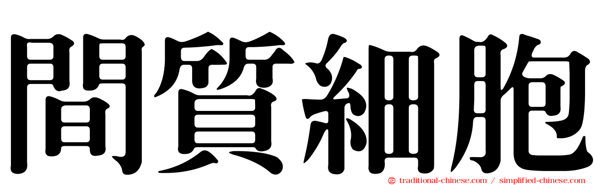 間質細胞