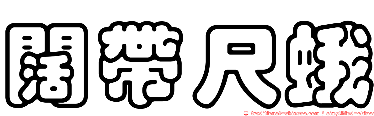 闊帶尺蛾