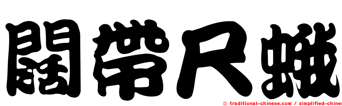 闊帶尺蛾