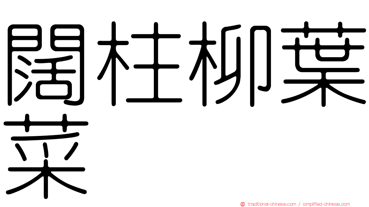 闊柱柳葉菜