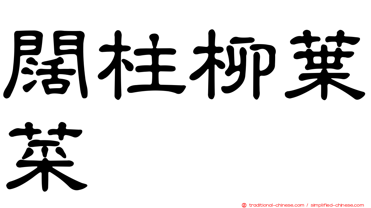 闊柱柳葉菜