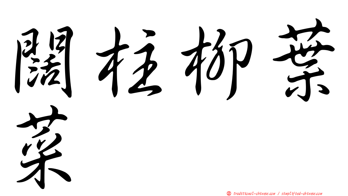 闊柱柳葉菜