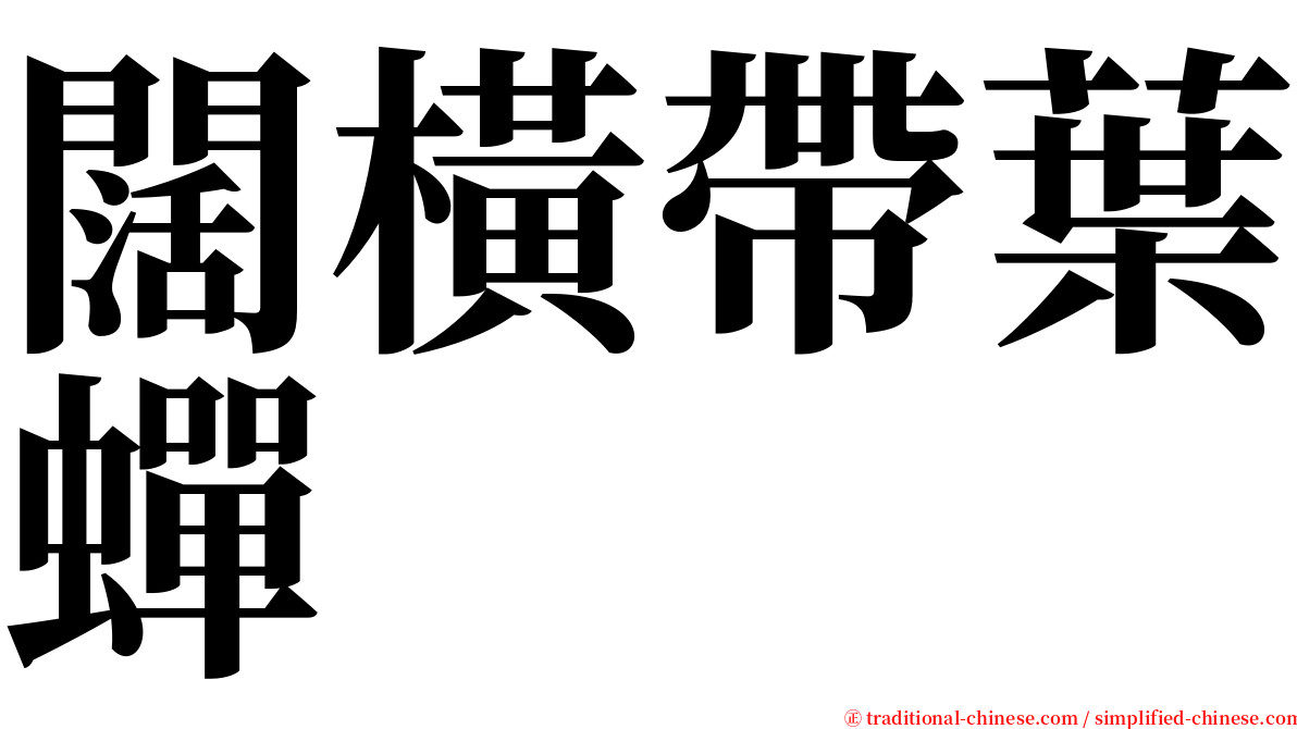 闊橫帶葉蟬 serif font