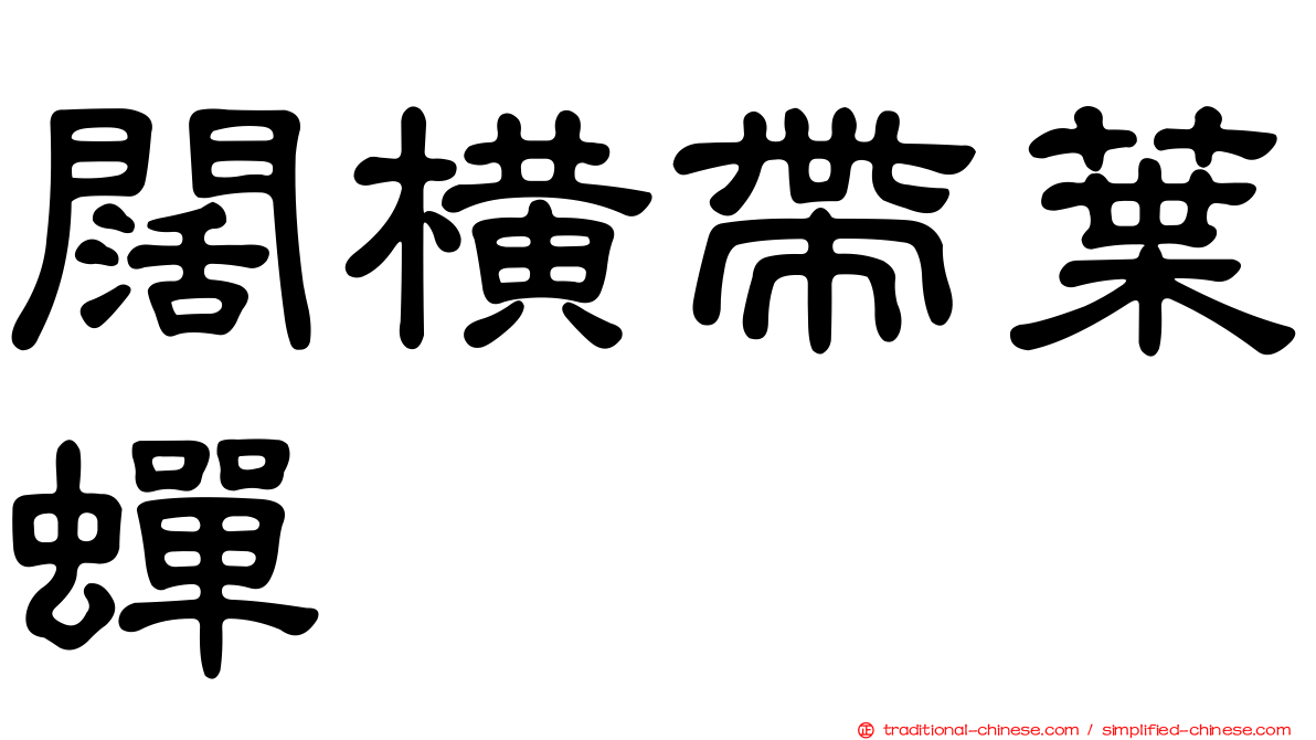 闊橫帶葉蟬