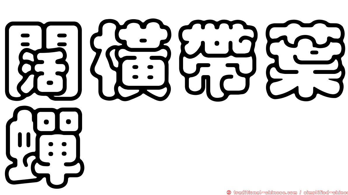 闊橫帶葉蟬