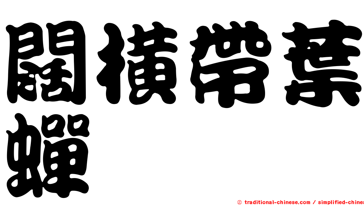 闊橫帶葉蟬