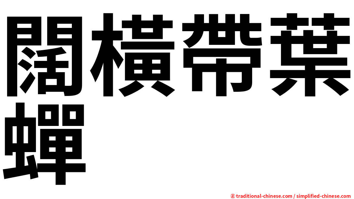 闊橫帶葉蟬