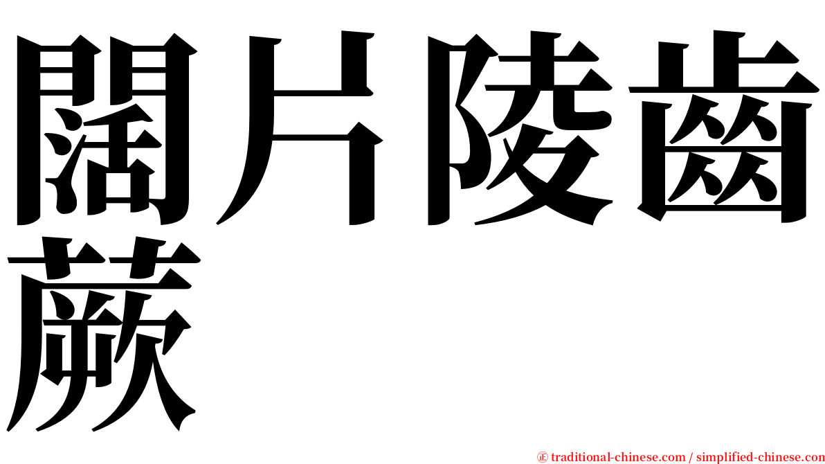 闊片陵齒蕨 serif font