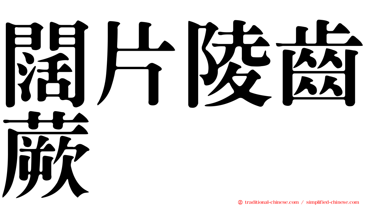 闊片陵齒蕨