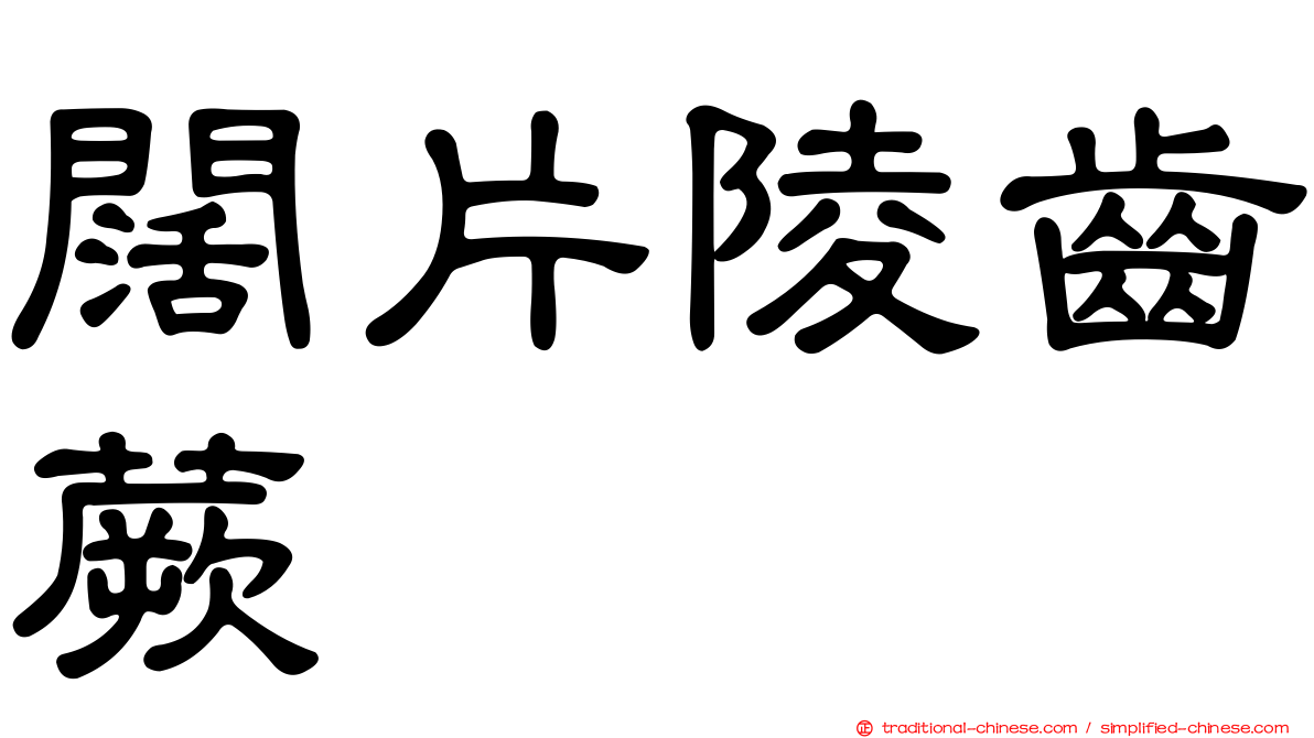 闊片陵齒蕨