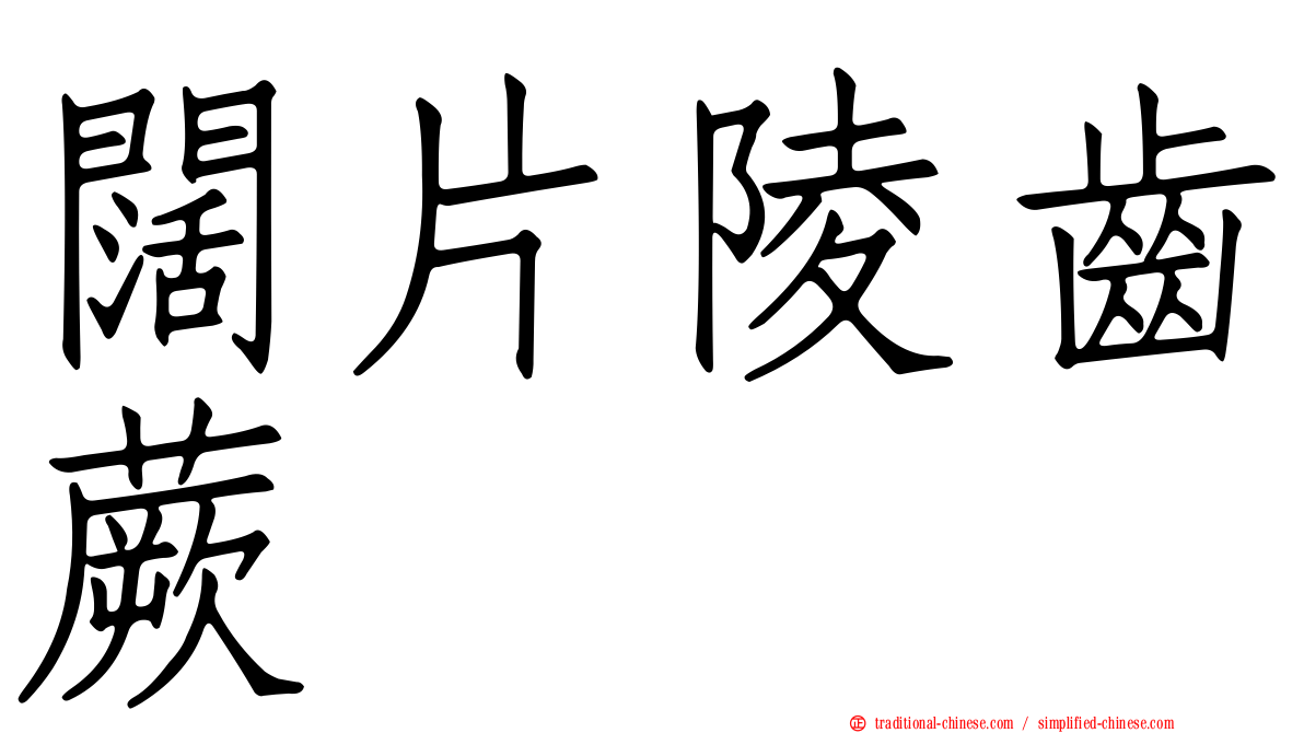 闊片陵齒蕨