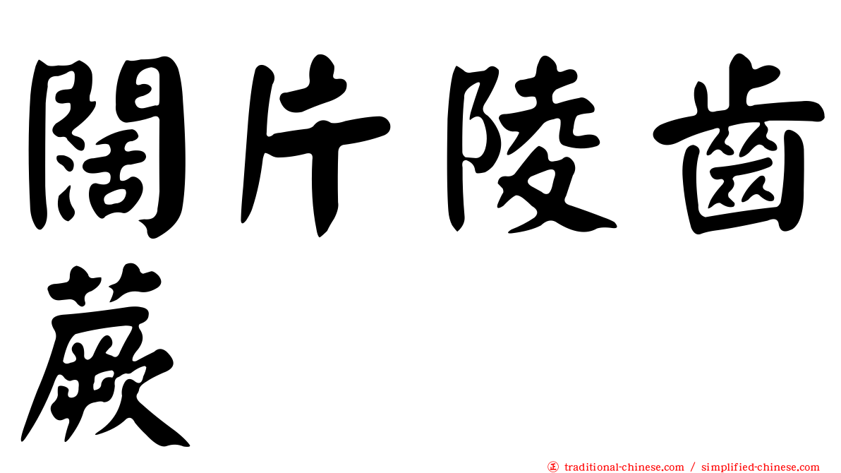 闊片陵齒蕨