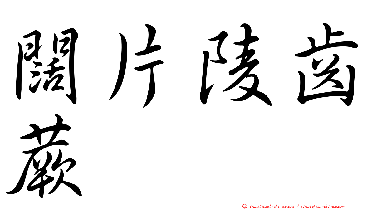 闊片陵齒蕨