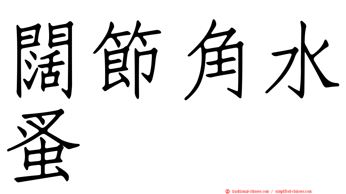 闊節角水蚤