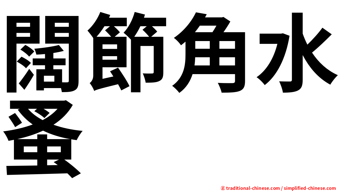 闊節角水蚤