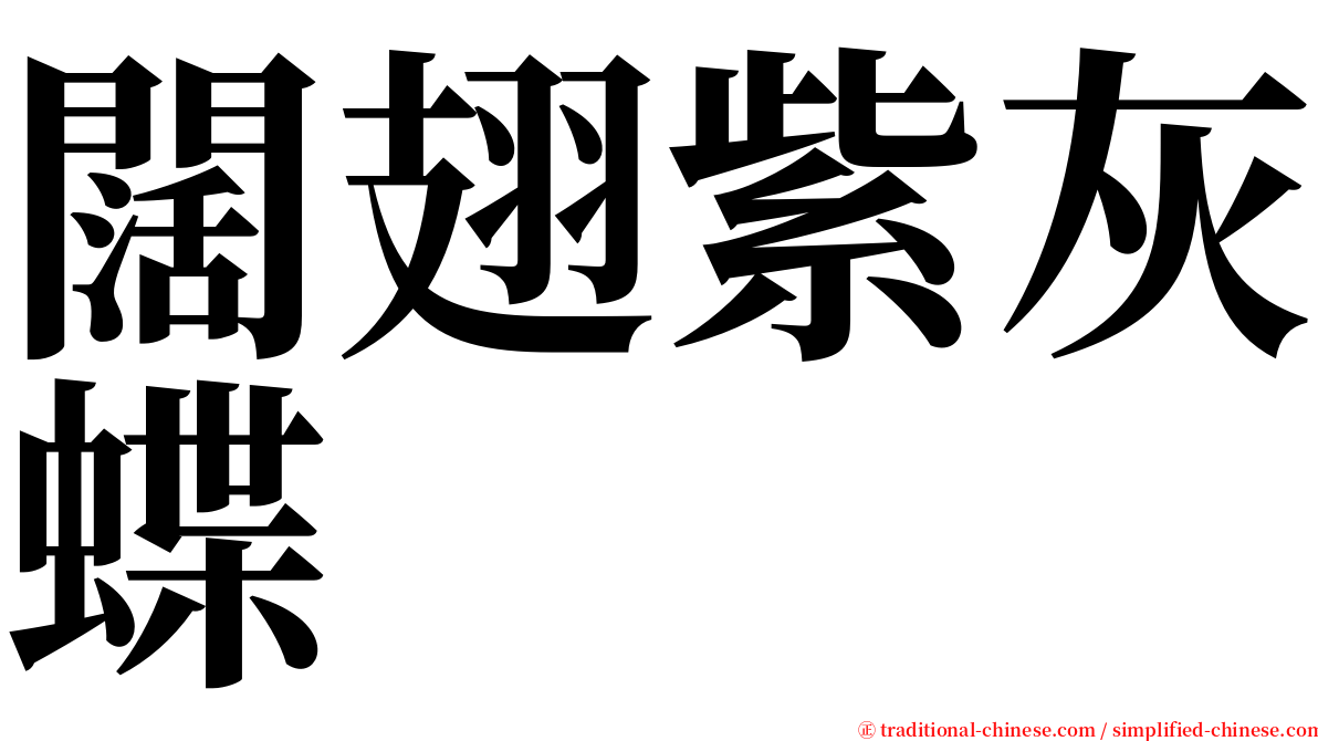 闊翅紫灰蝶 serif font