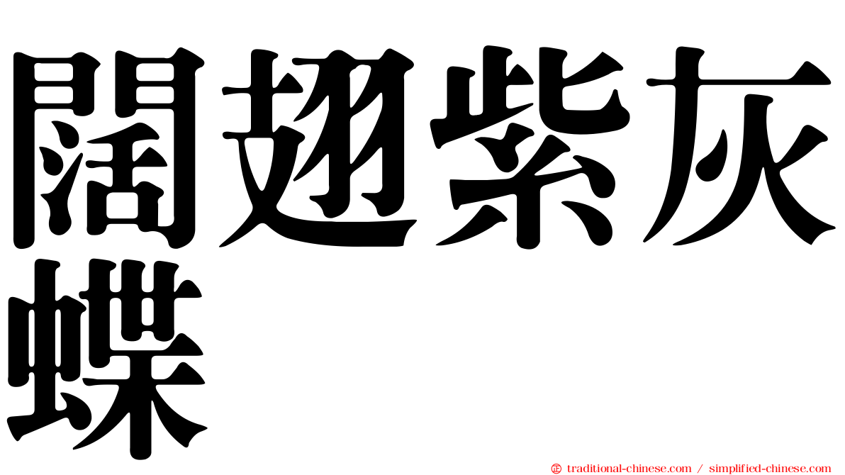 闊翅紫灰蝶